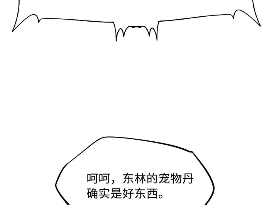 332 宠物丹73