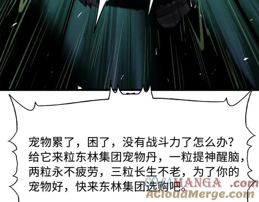 332 宠物丹72
