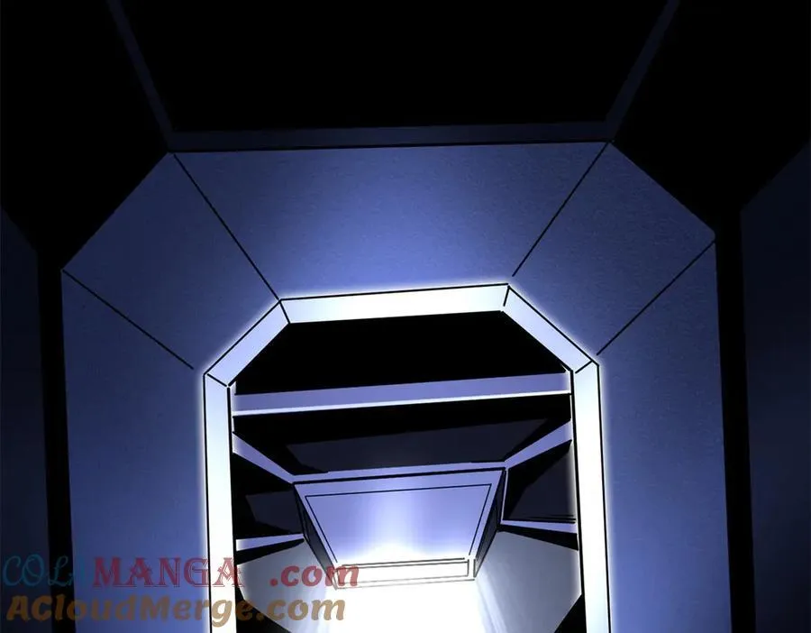 332 宠物丹88