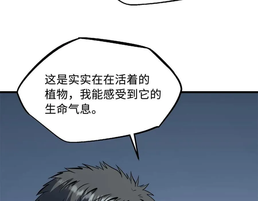 333 翡翠黄金树113