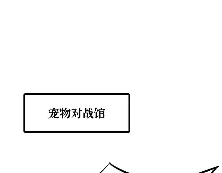 332 宠物丹2