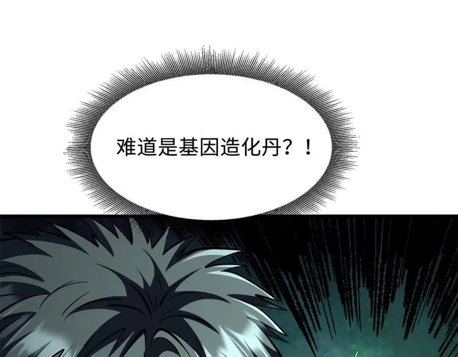 332 宠物丹21