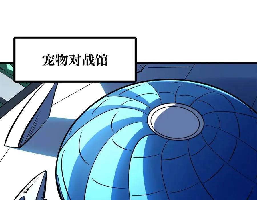 332 宠物丹77