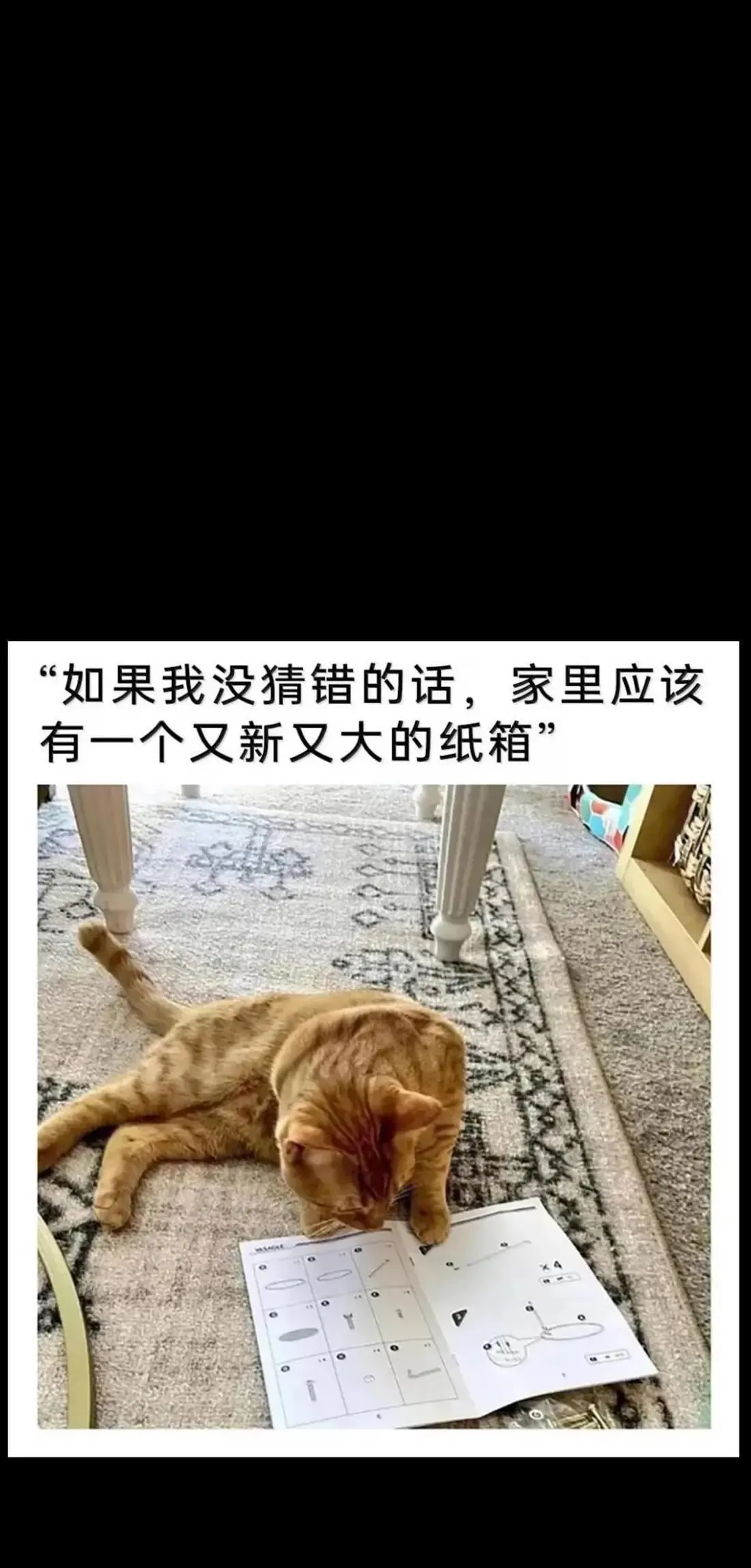 164 傻牧师85