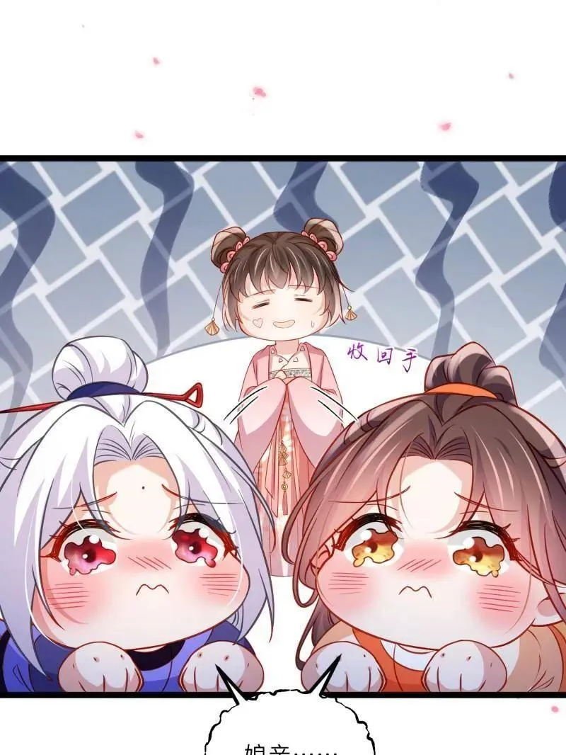 第429话 两年后的双胞胎43