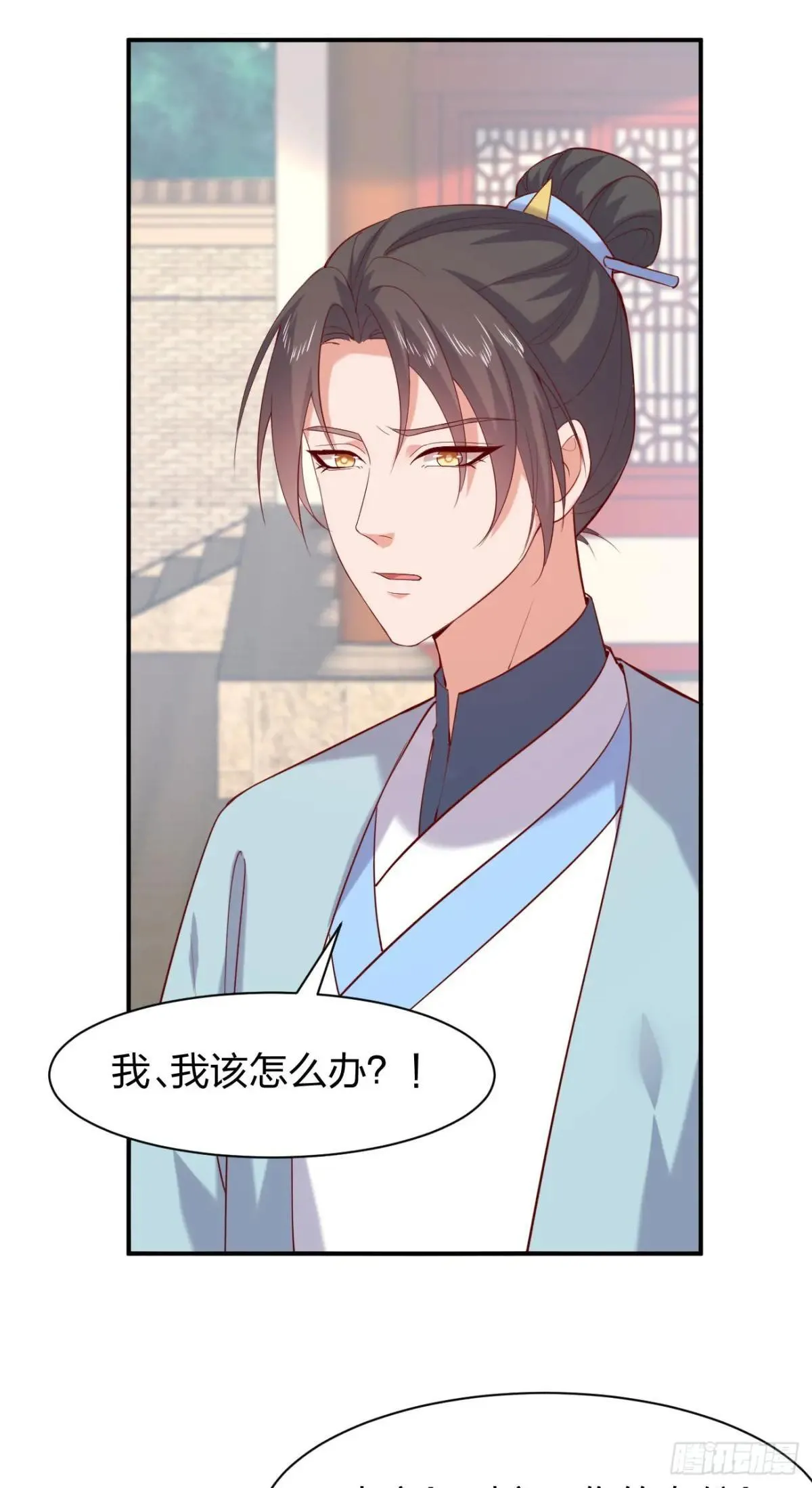第四百零一话 花孔雀来了6