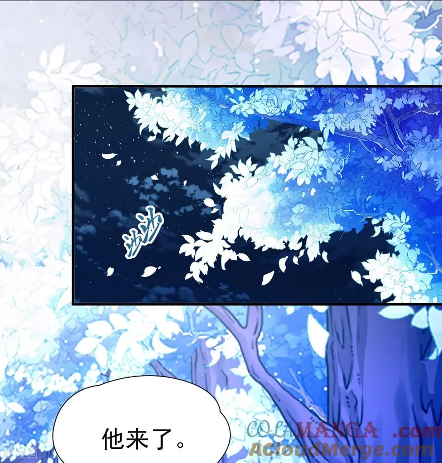 第2季第263话 精灵之国430