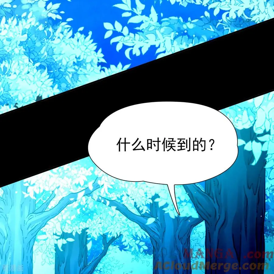 第2季第264话 精灵之国514