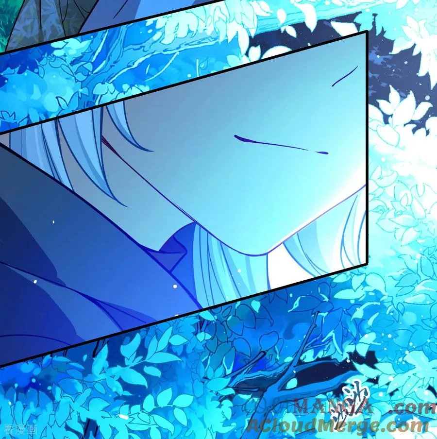 第2季第263话 精灵之国434