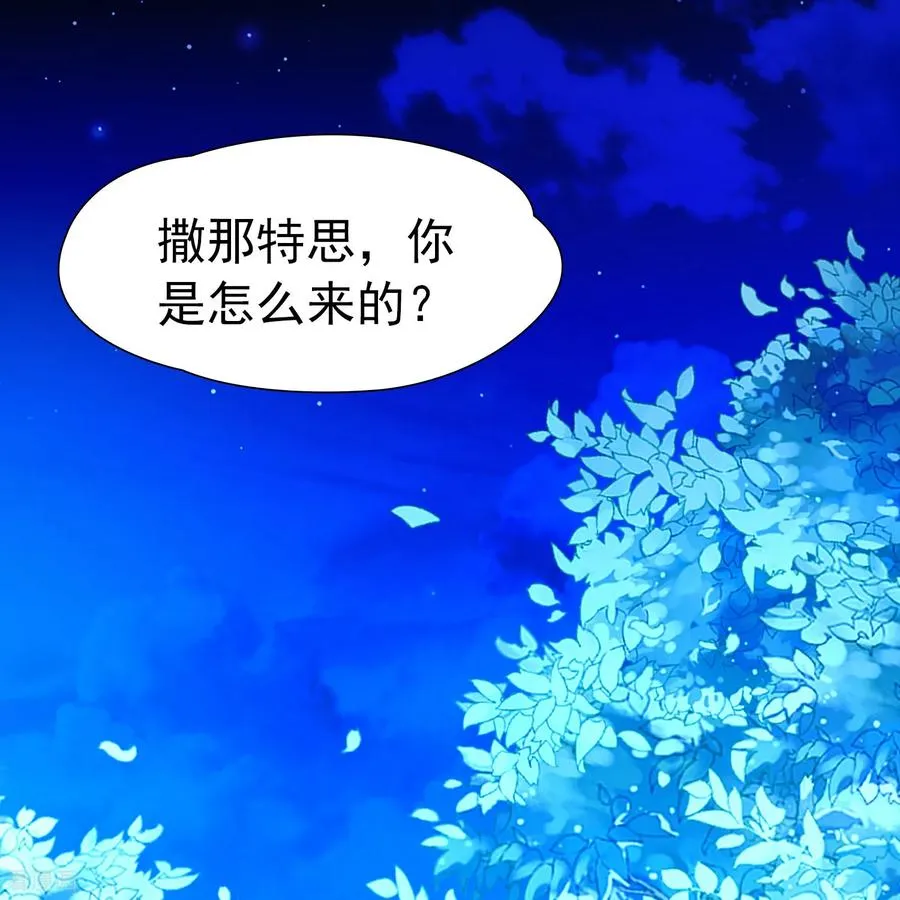 第2季第264话 精灵之国513