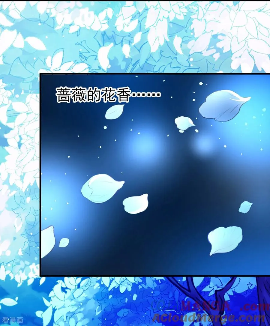 第2季第263话 精灵之国432