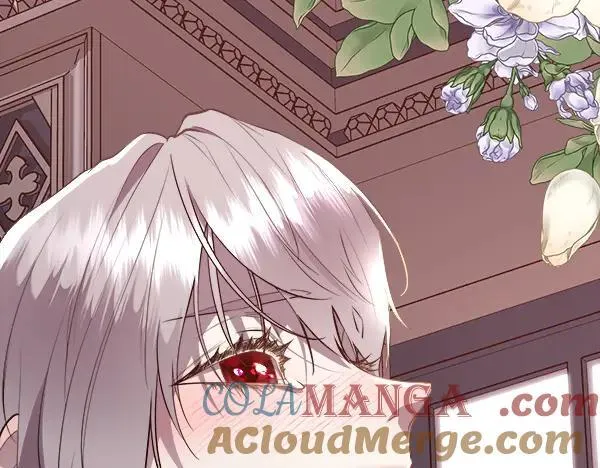 第126话 该轮到他被打了212