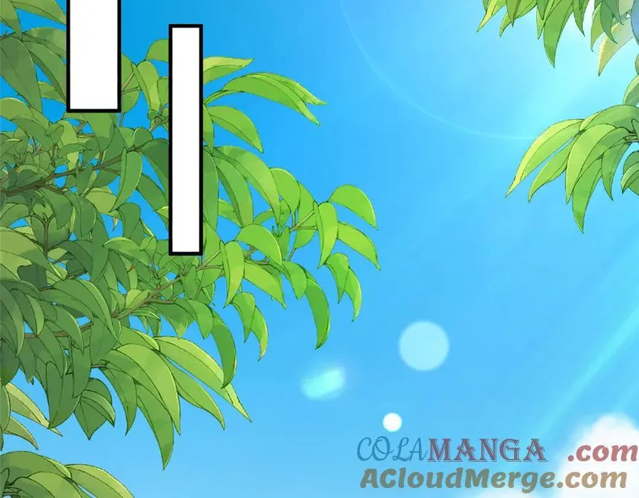 778 该收网了80