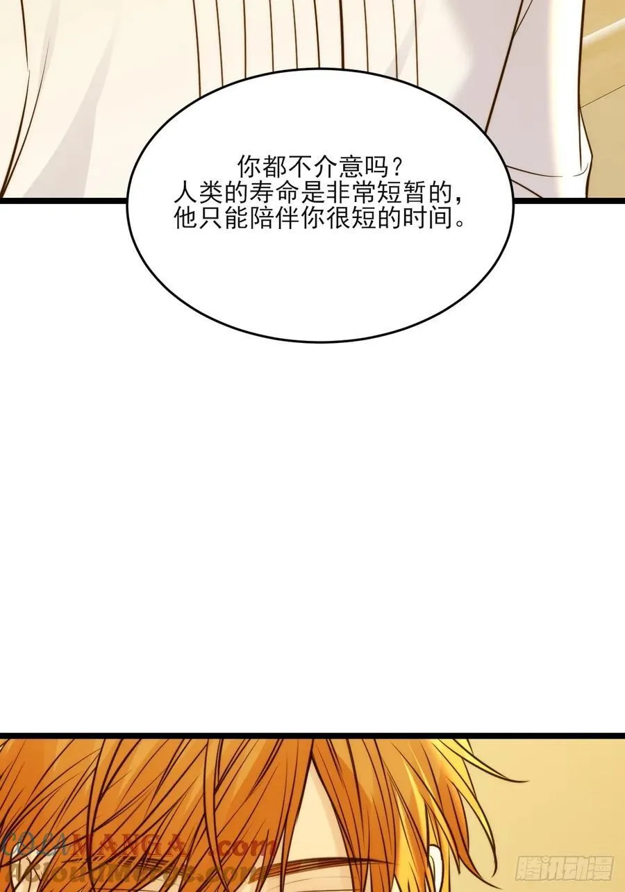 动物购物30