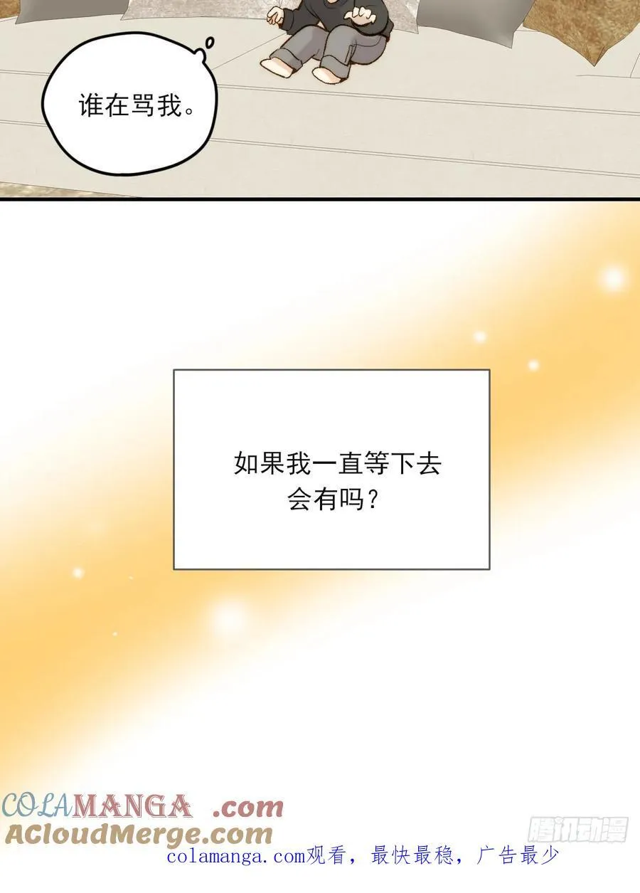 动物购物40