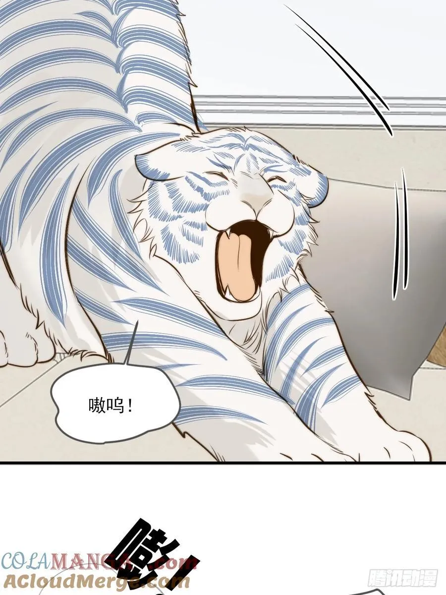 他说的，我来做14