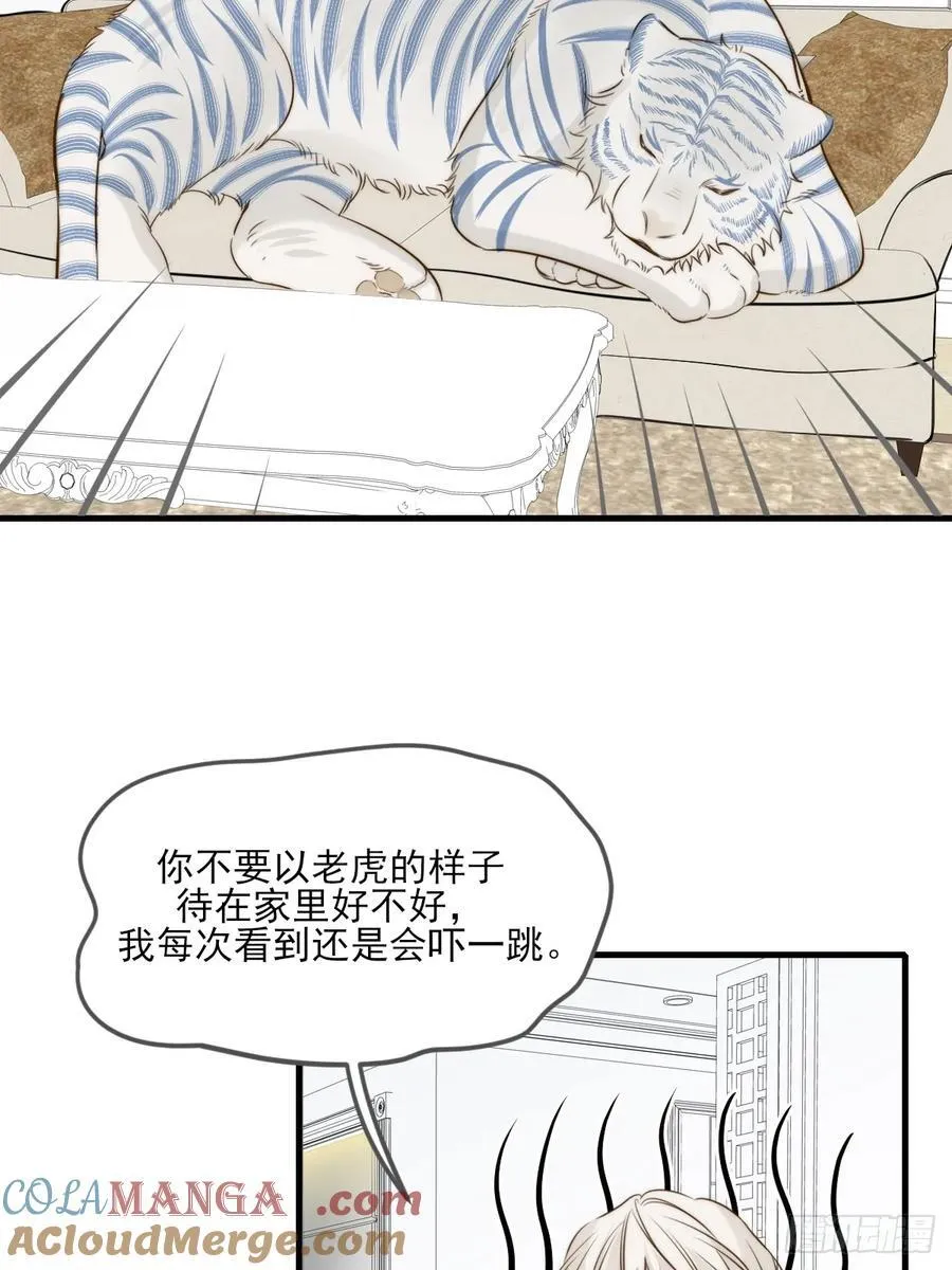 他说的，我来做12