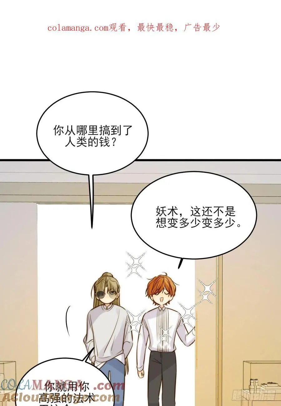 动物购物0