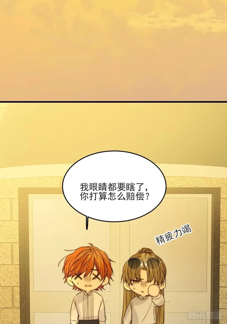 动物购物23