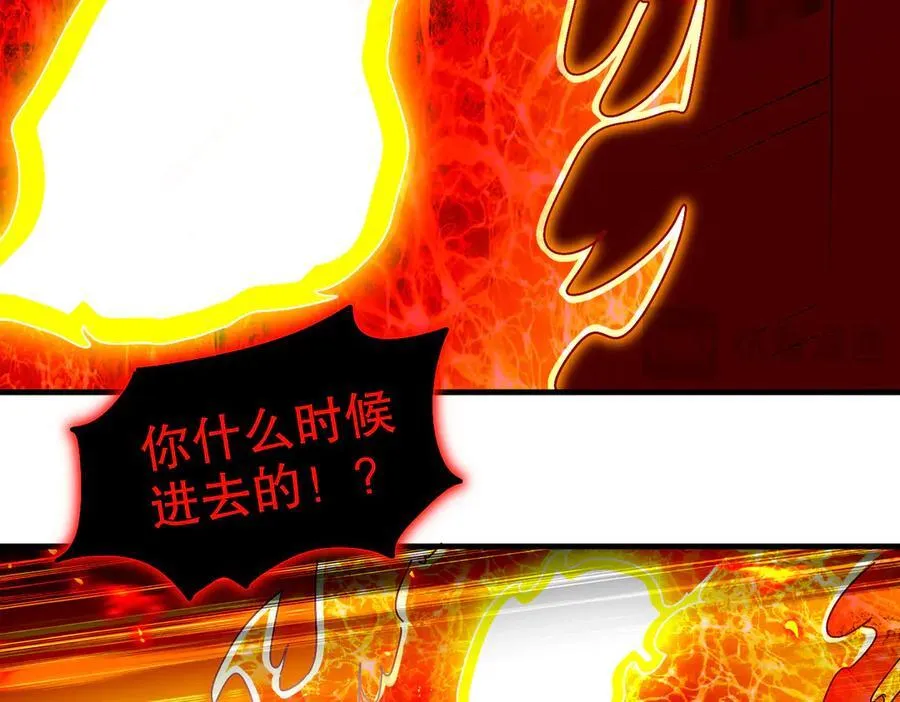 367-逗狗26