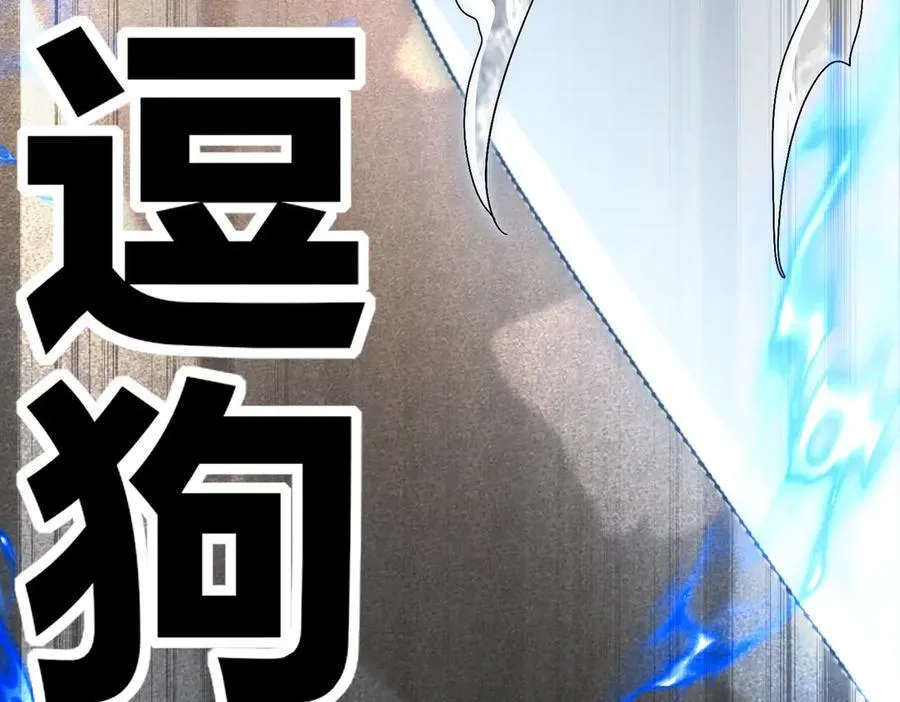 367-逗狗43