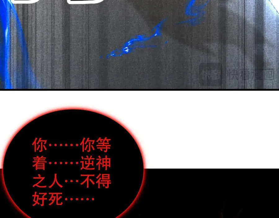 367-逗狗44