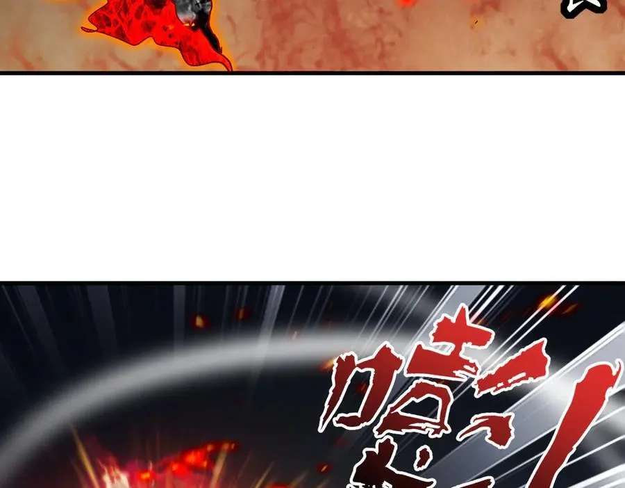 367-逗狗47