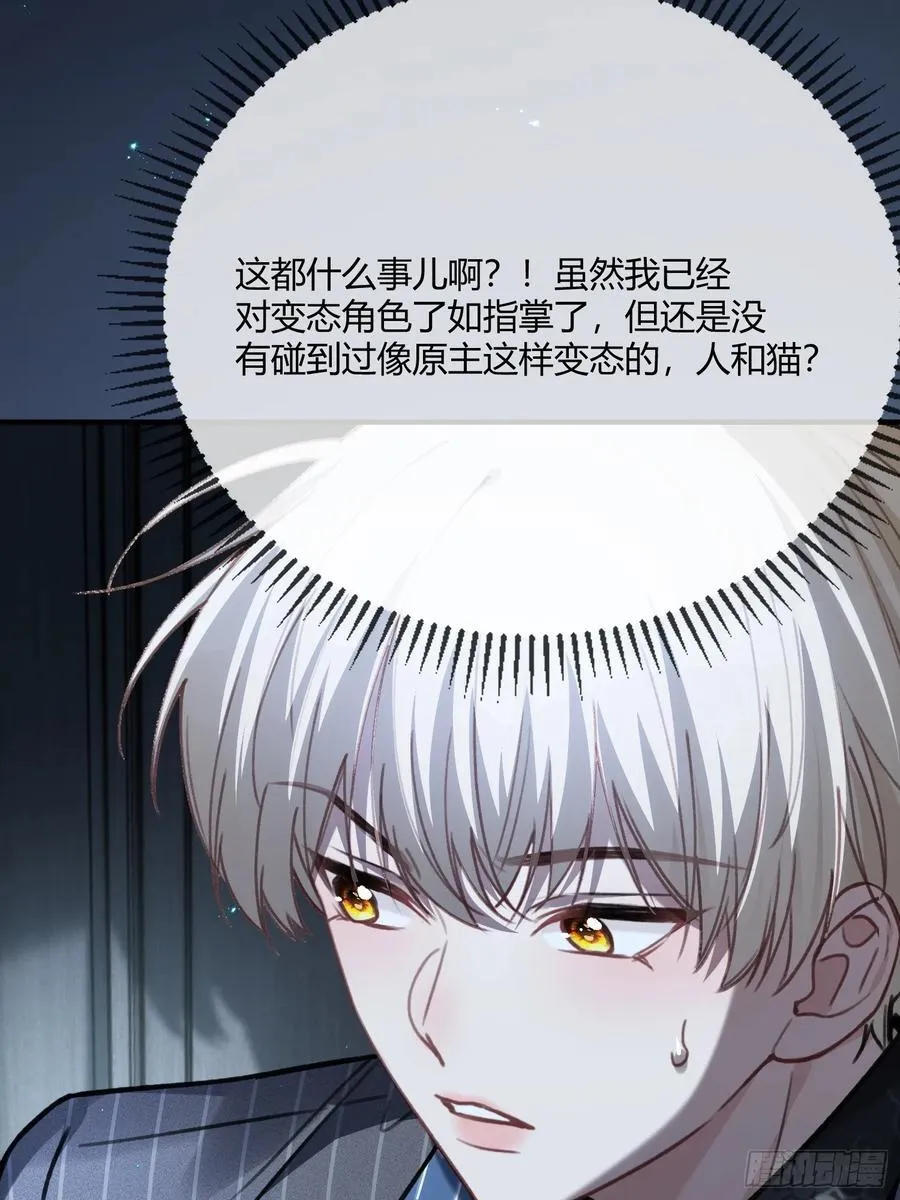 101 搬起石头砸自己的脚25