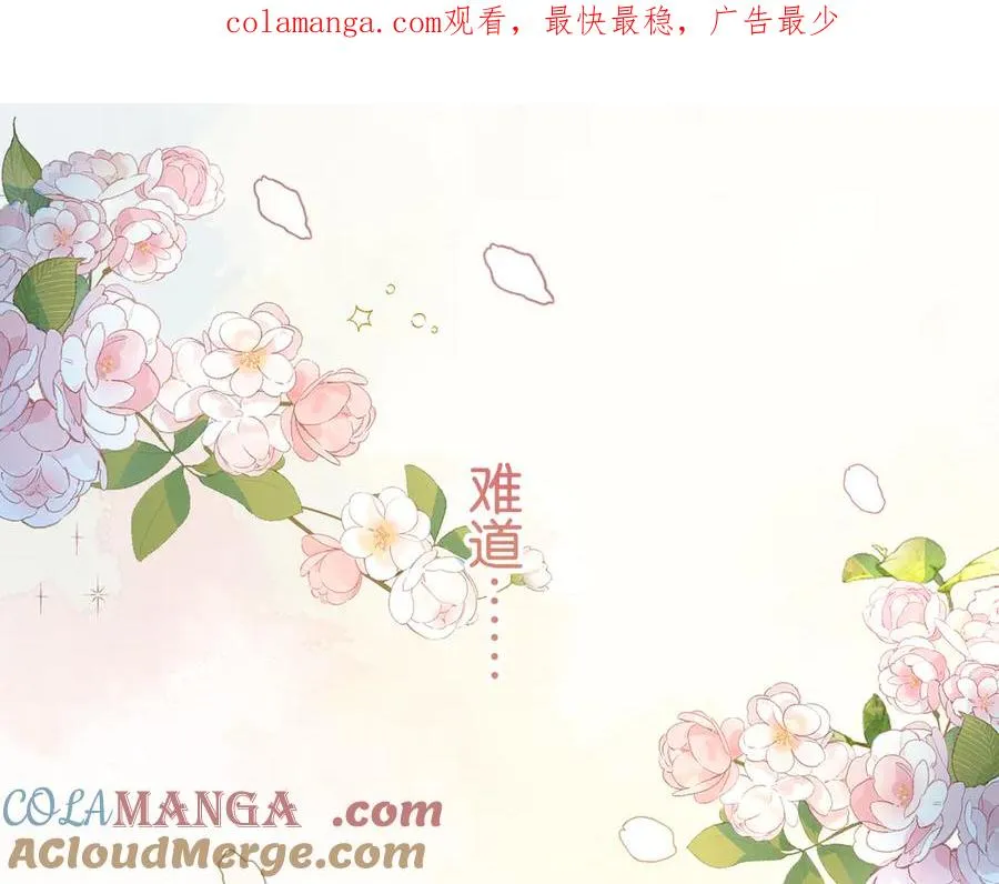 第42话 按头嗑CP0