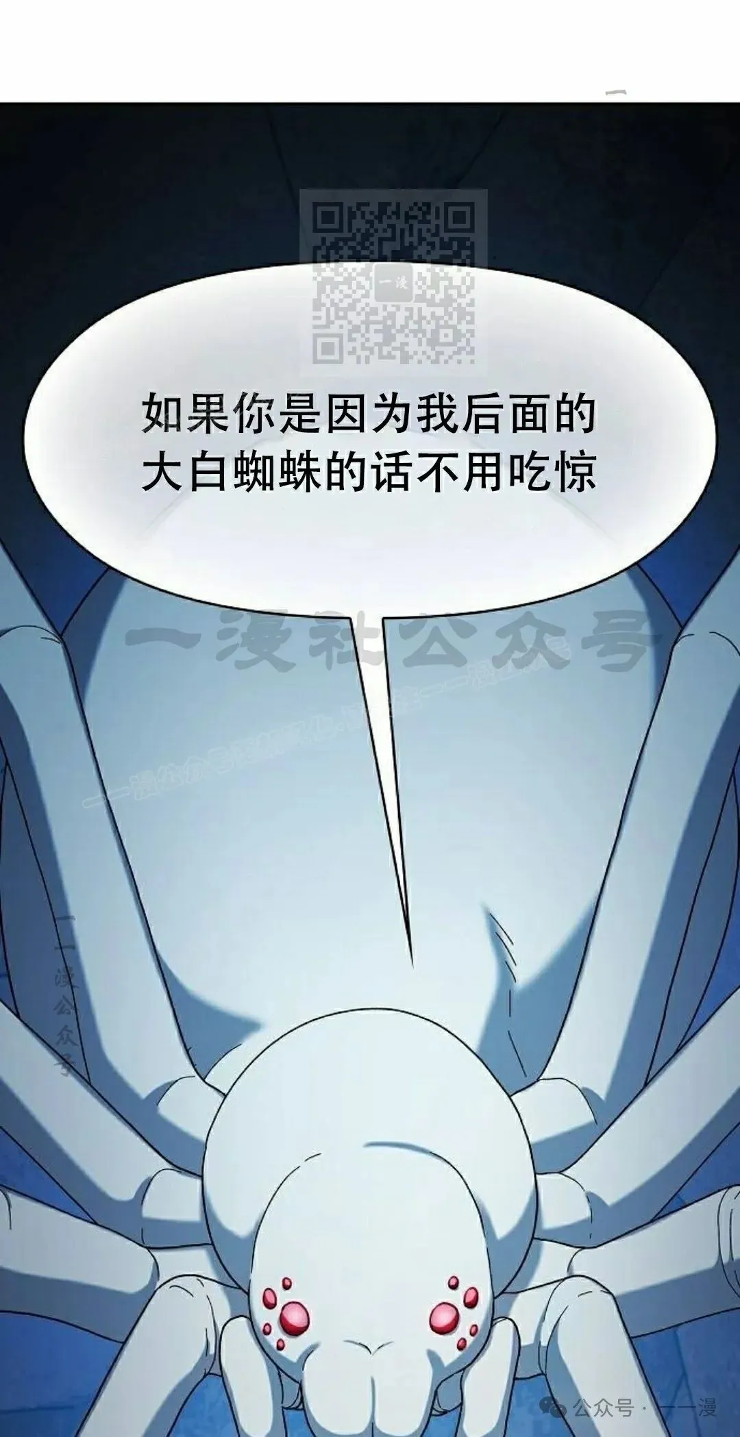 第80集40