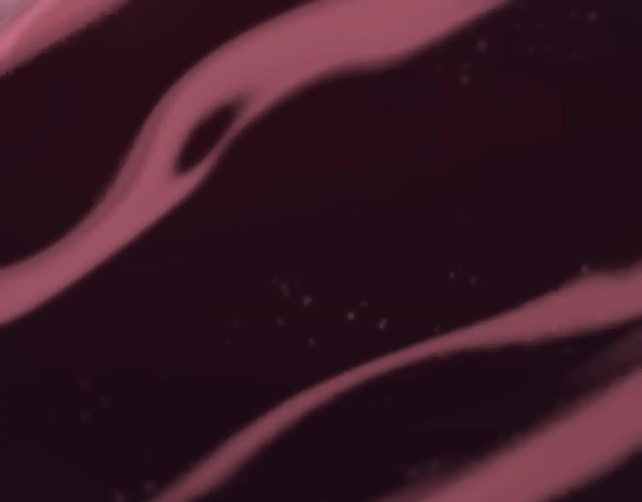 第56话 前菜试吃46