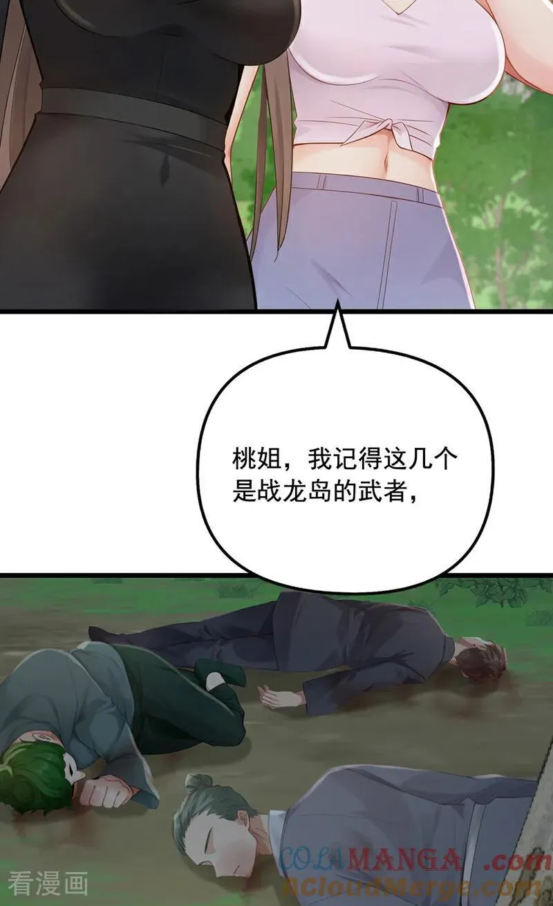 第252话 你可愿拜师？28