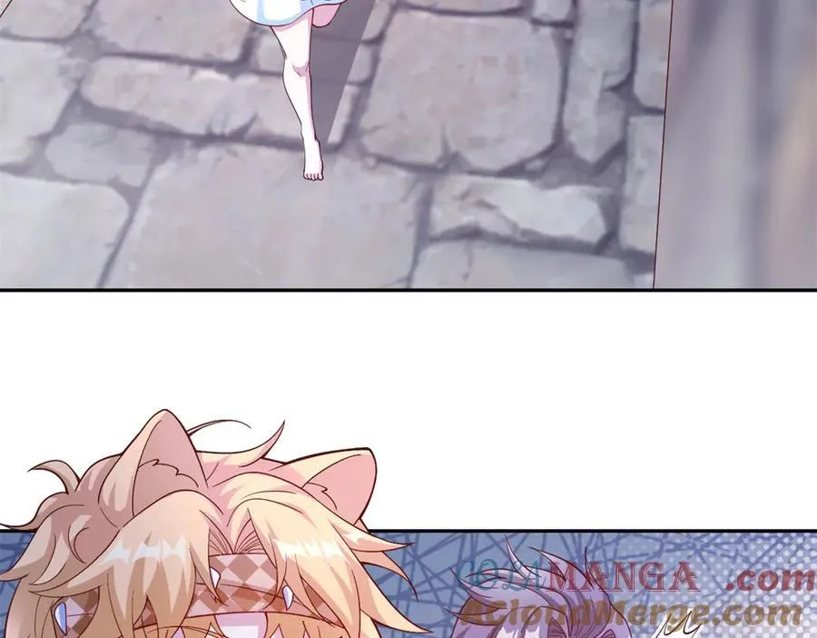 66224