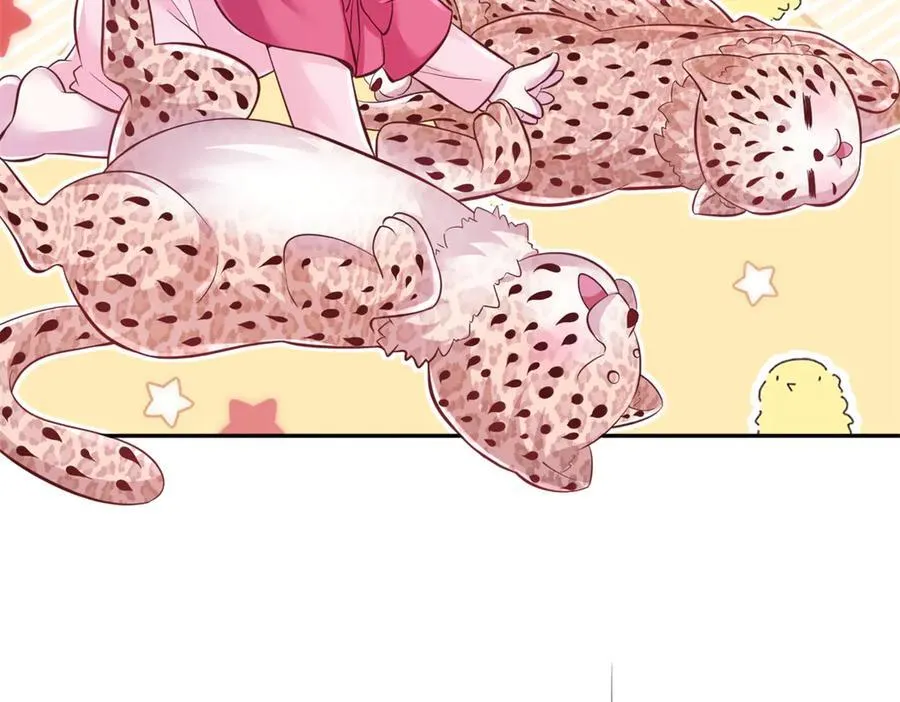 66653