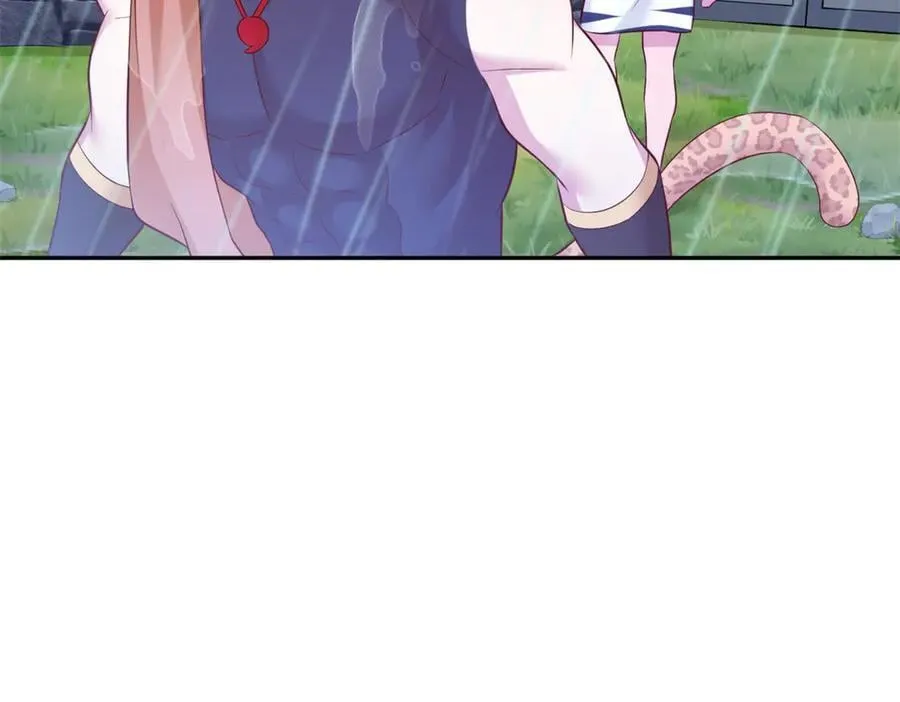 66055