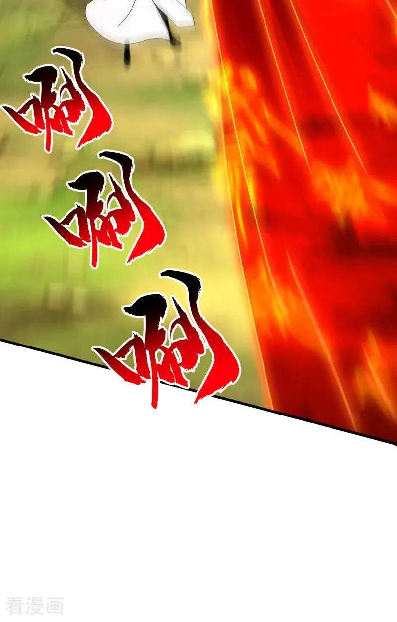 第162话 障眼法41