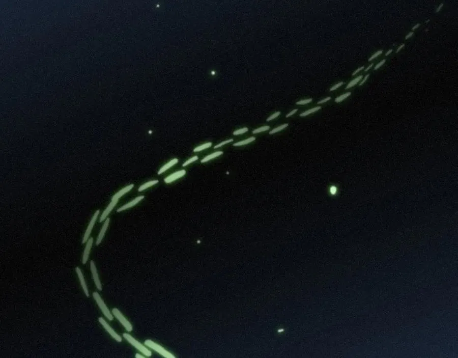 第51话 苏醒41