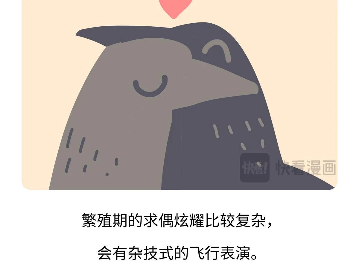 第247话20