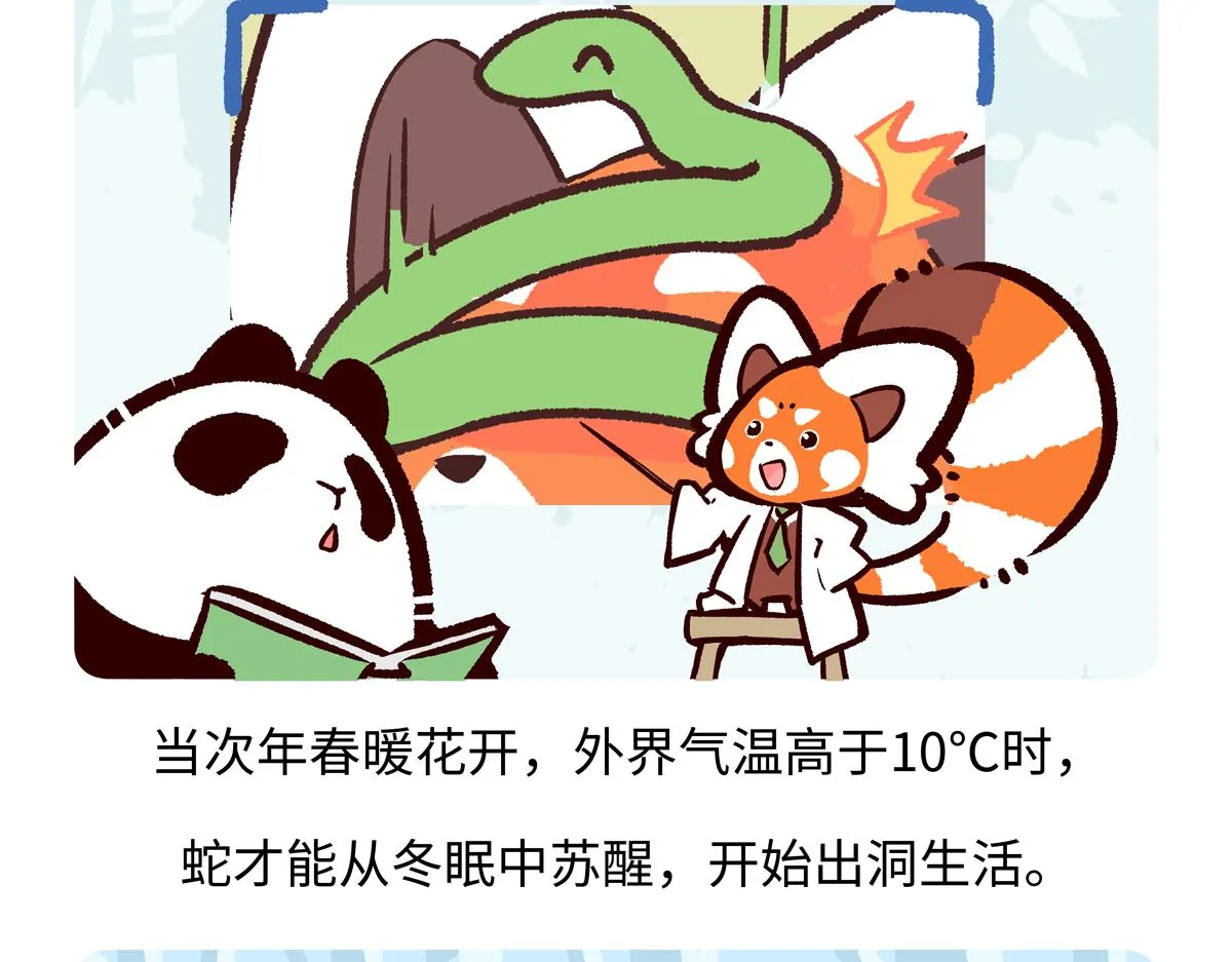 第251话19
