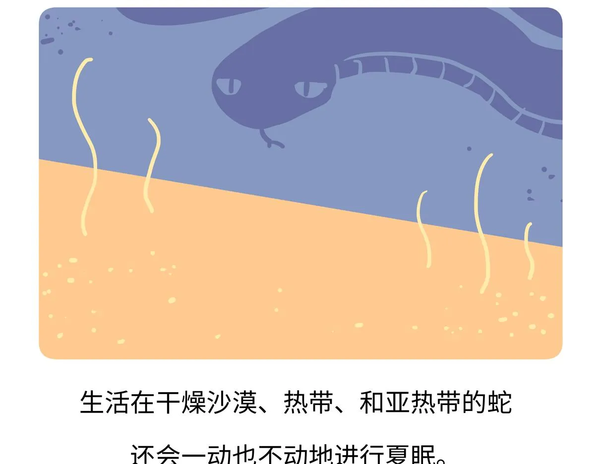 第251话22