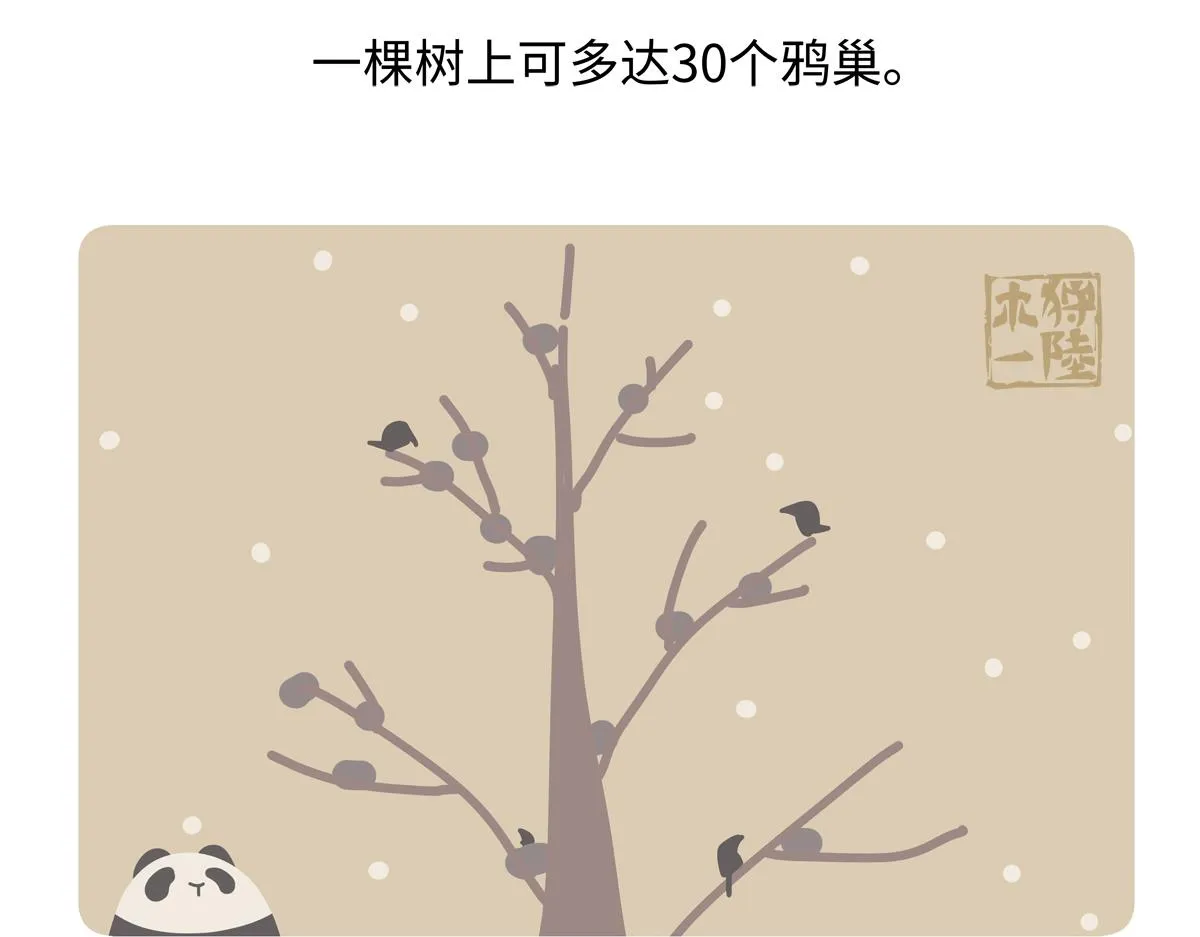第247话22