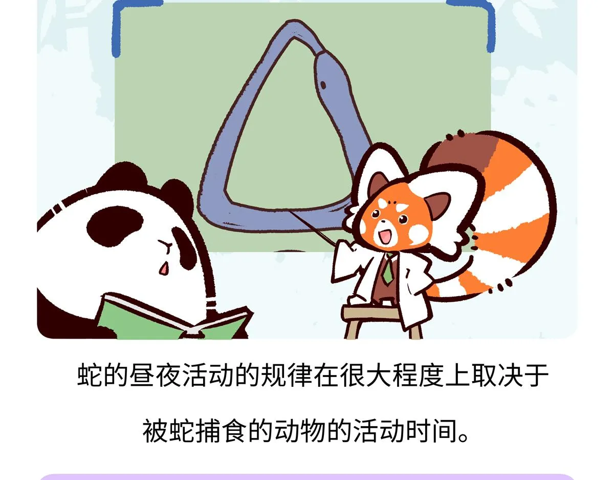 第251话26