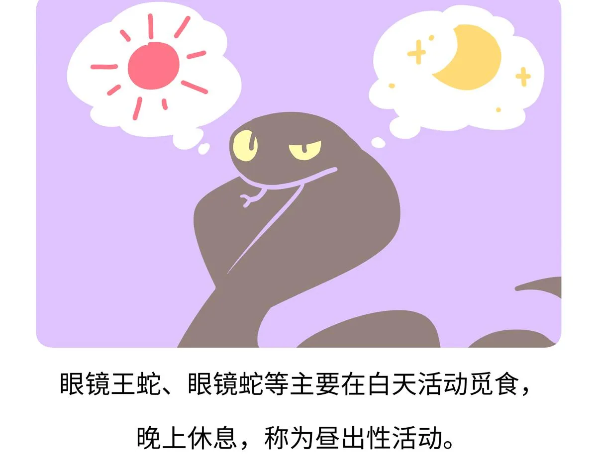第251话27