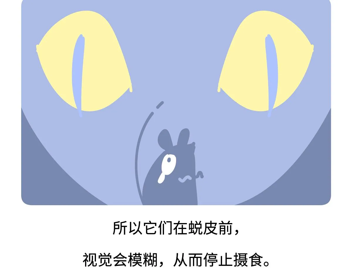 第254话19