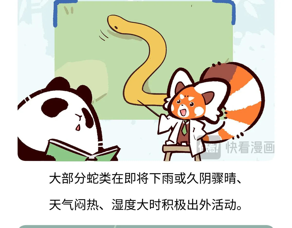 第252话19