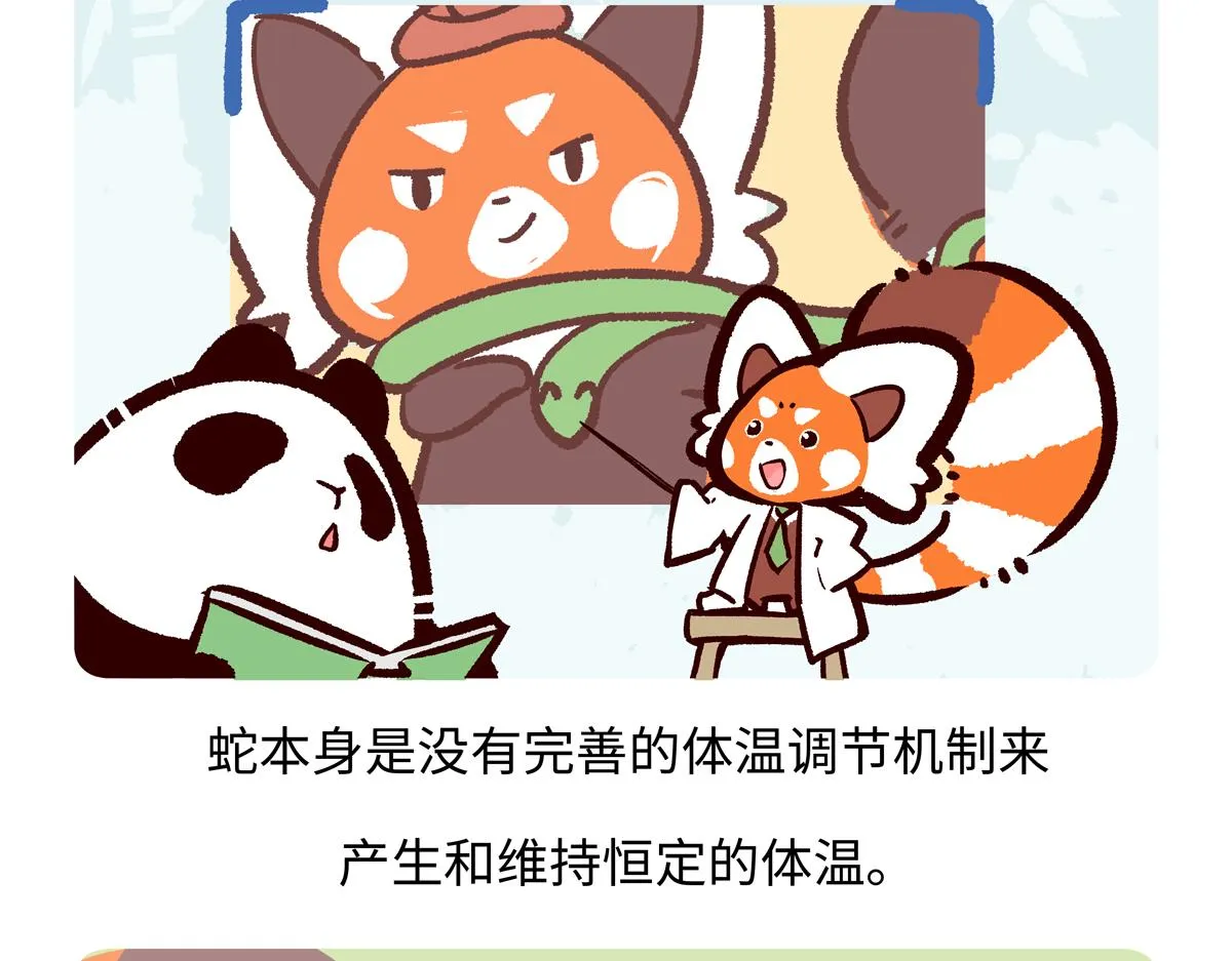 第250话19