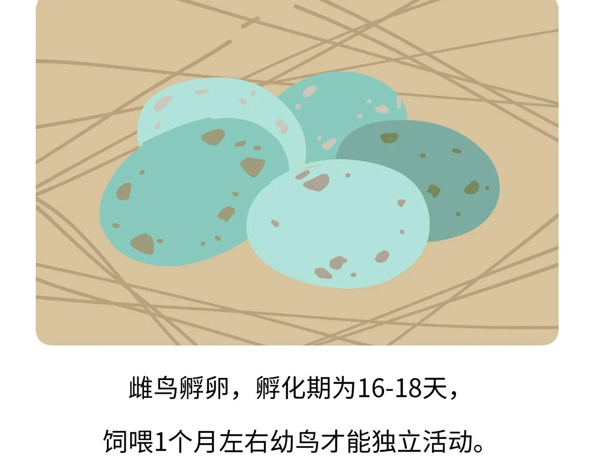 第247话26