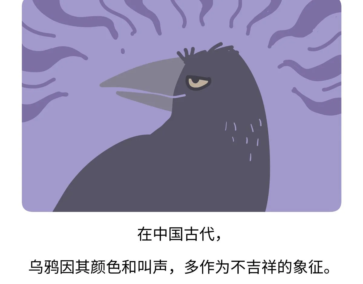 第248话27