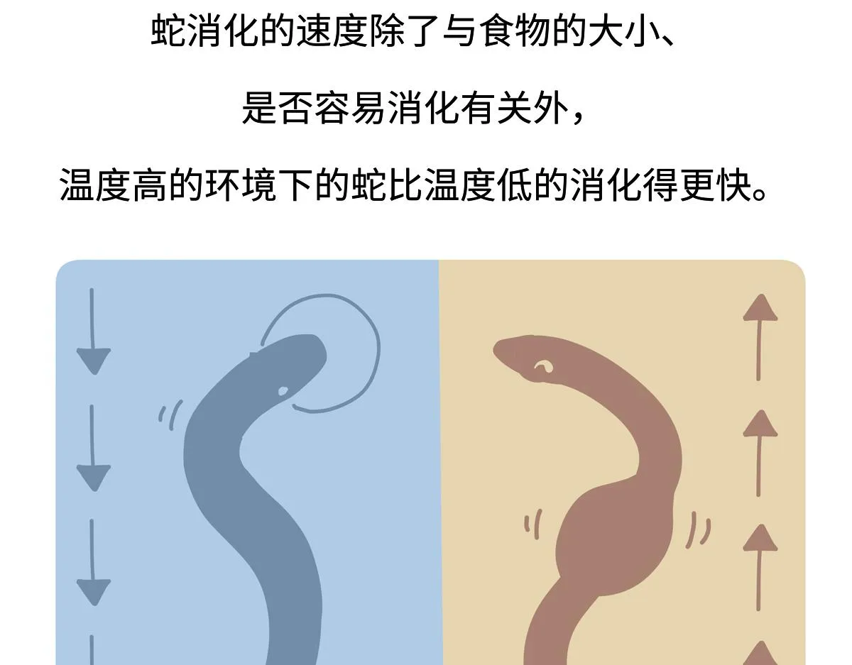 第254话28