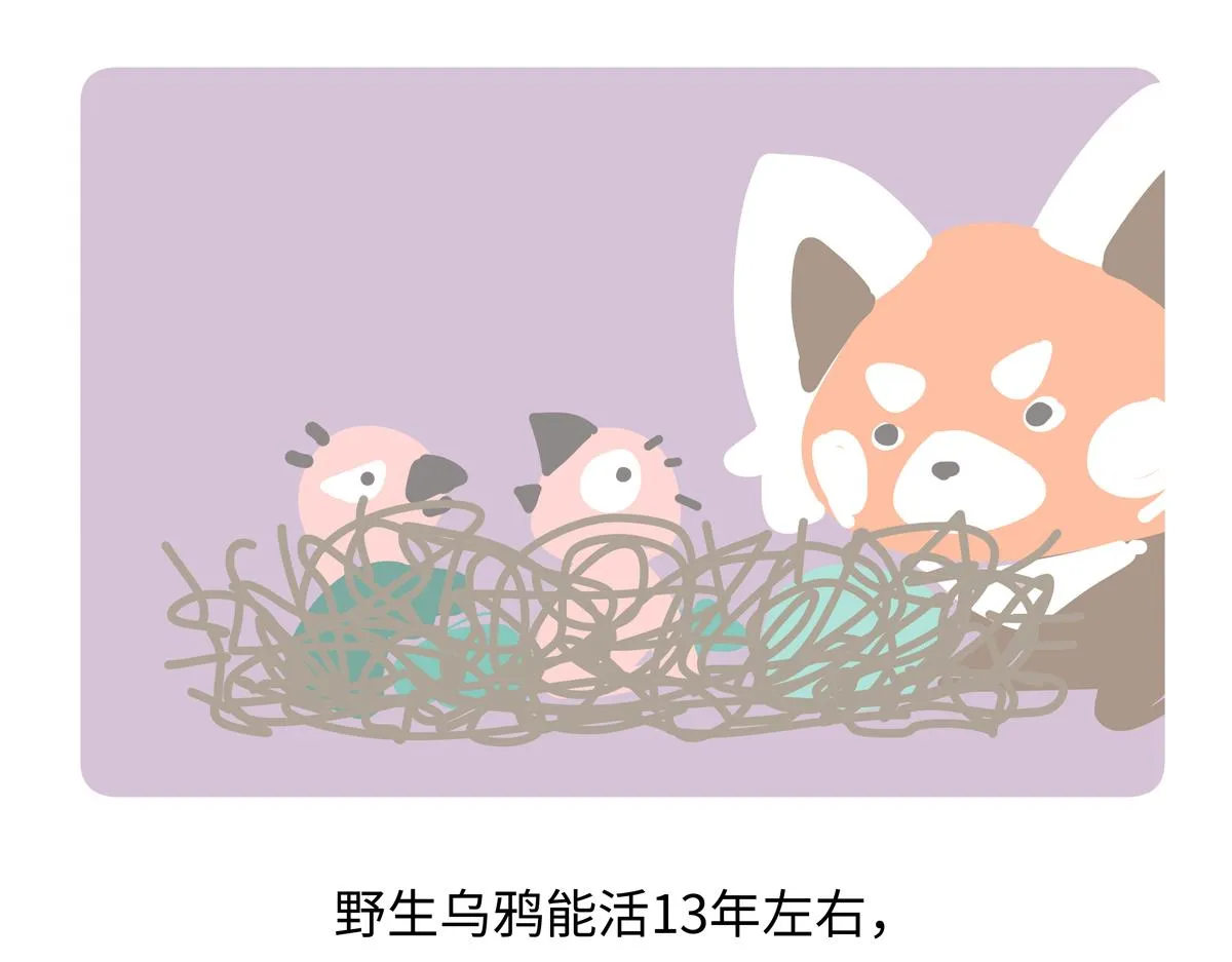 第247话27